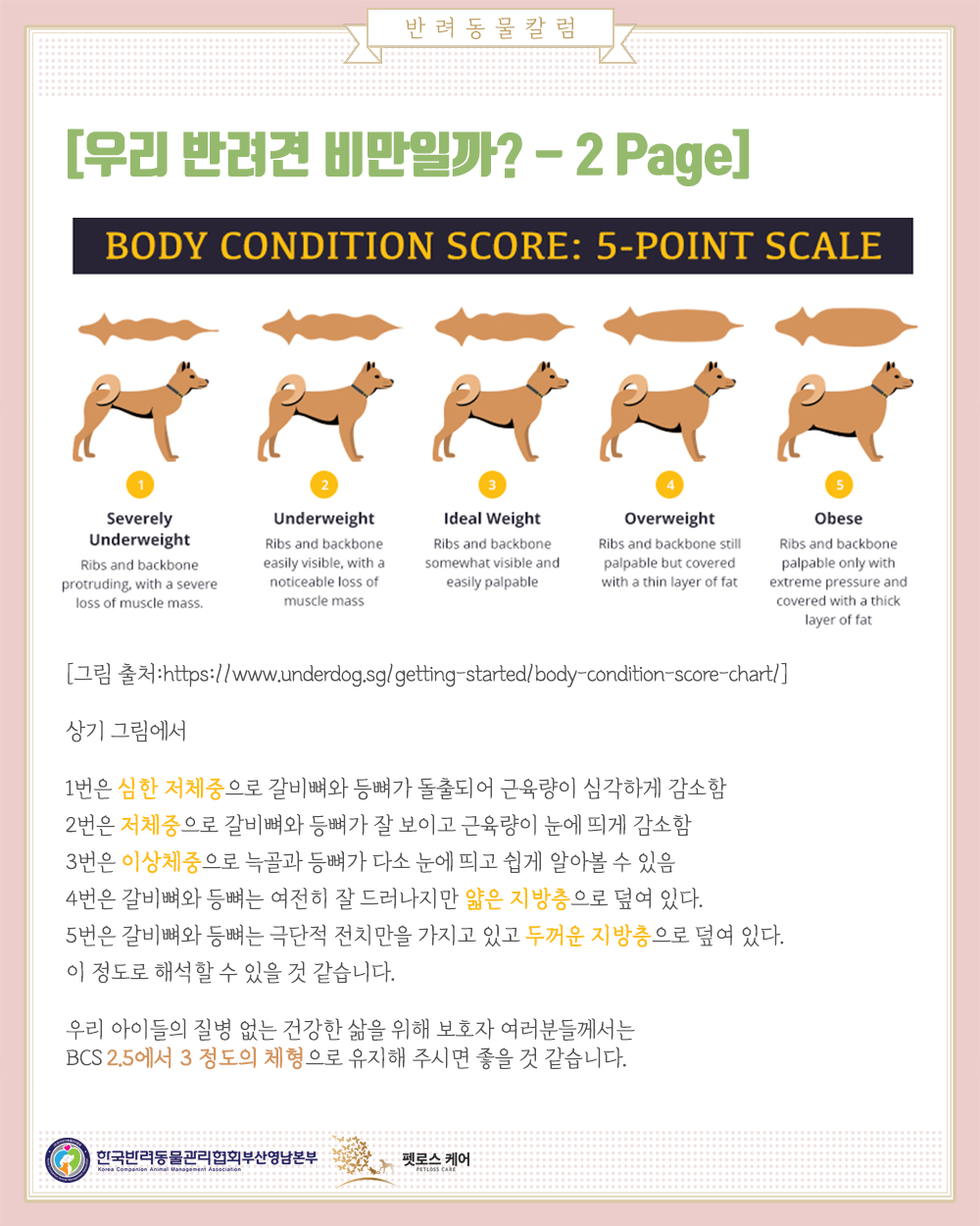 b95246b8d805c7dc1ad9c208836cee60_1613955472_235.png b95246b8d805c7dc1ad9c208836cee60_1613955472_235.png