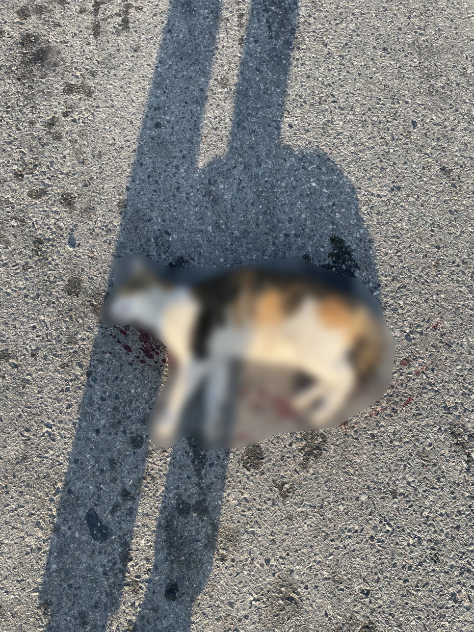 22655d2d32f6fa51f2fb16ecd002ca7f_1655351719_2426.jpg 22655d2d32f6fa51f2fb16ecd002ca7f_1655351719_2426.jpg