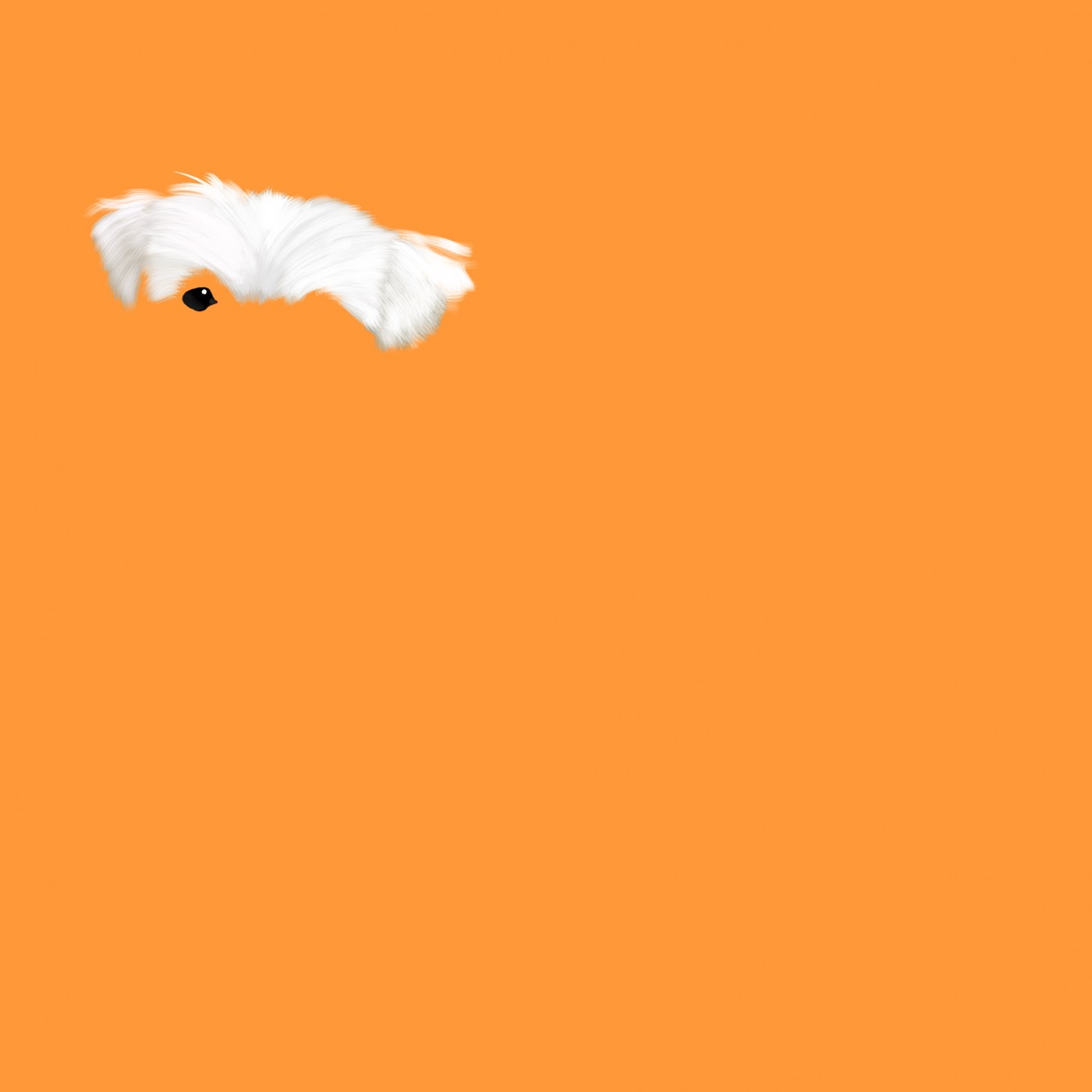 43d27d817a263c1972860ea10715de8f_1654840358_2955.jpg