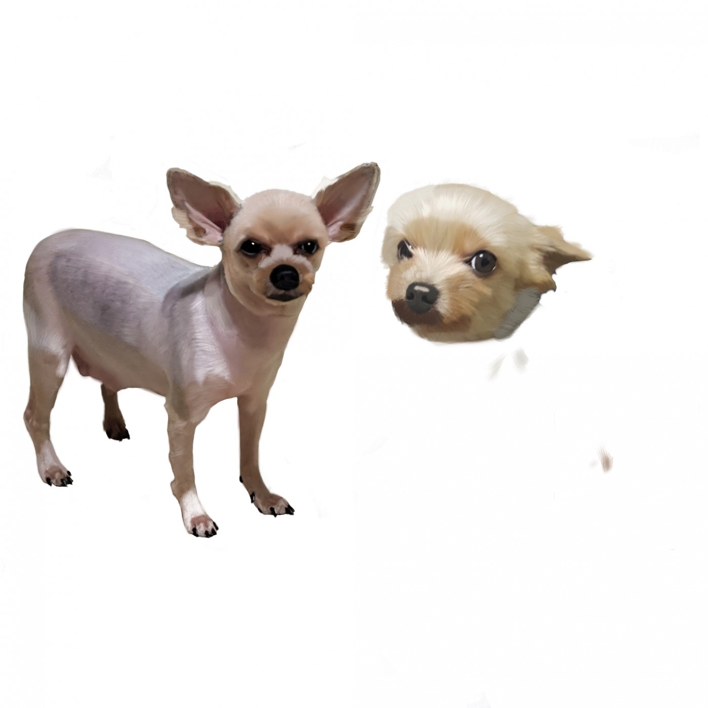 e53ab28e69626350ae75eb7b922185b9_1665647598_7272.jpg