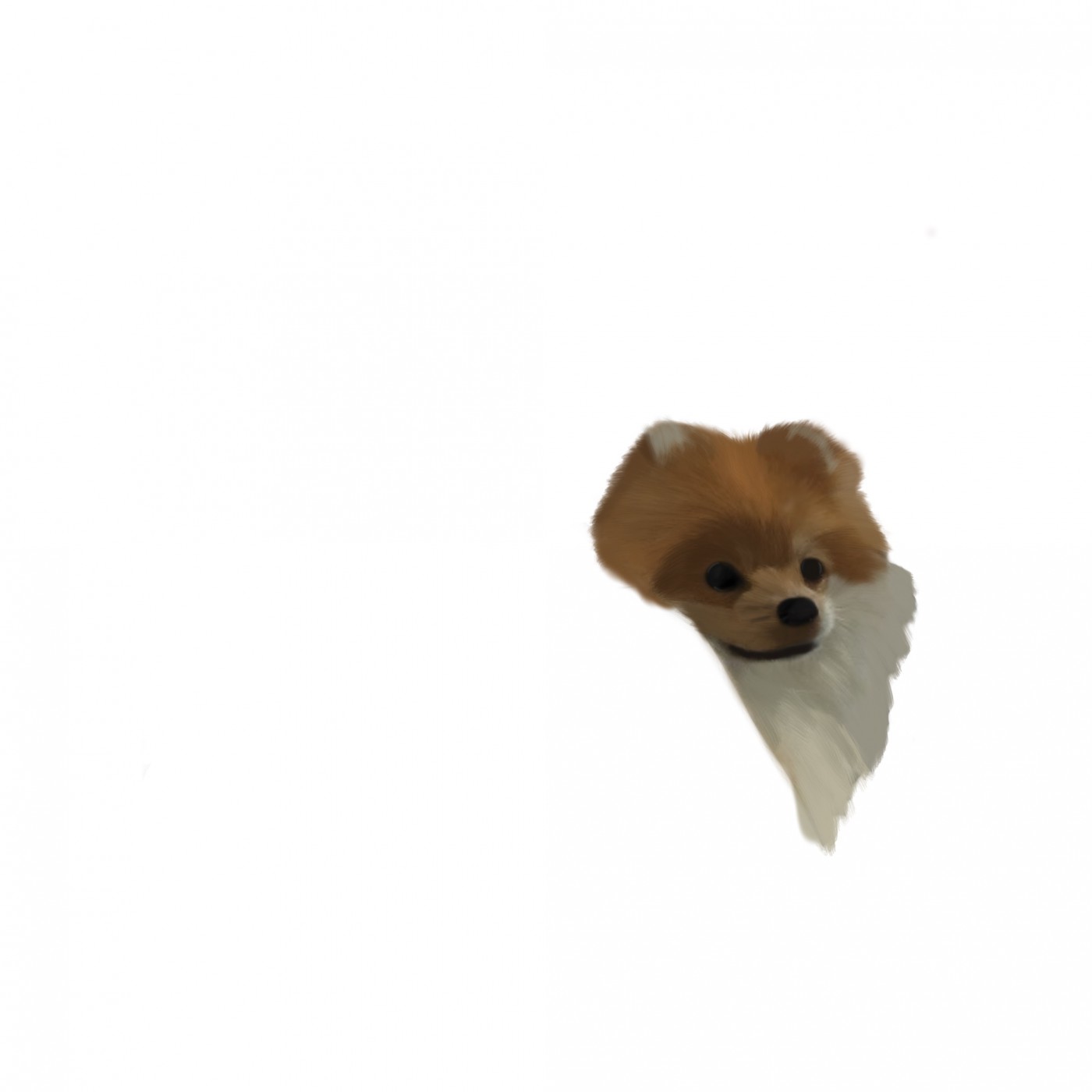e007ec5b7b06bdfb2505a2e526368875_1668561716_3727.jpg