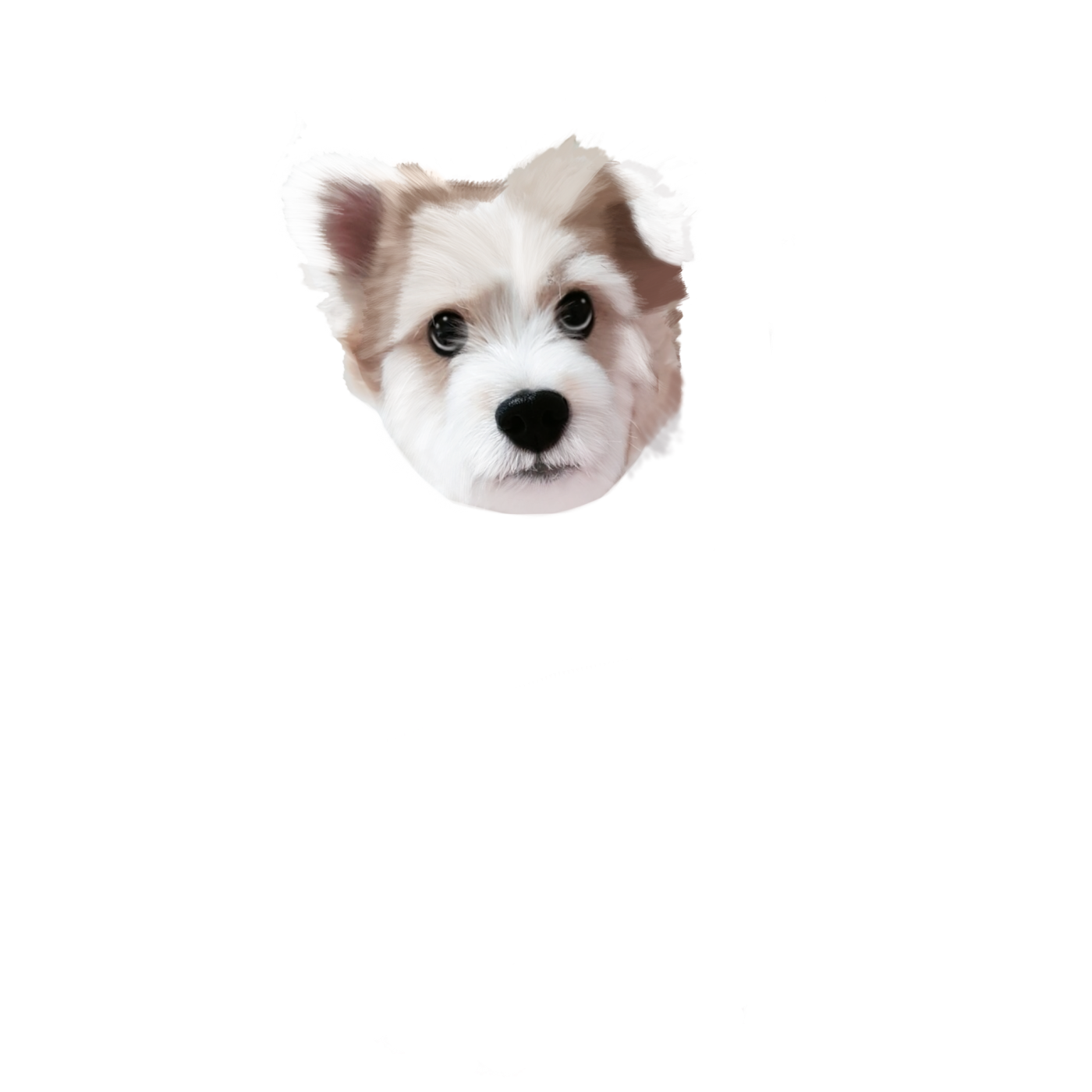 67b80613a947cf83516dc1c0504350a2_1675129251_9411.png