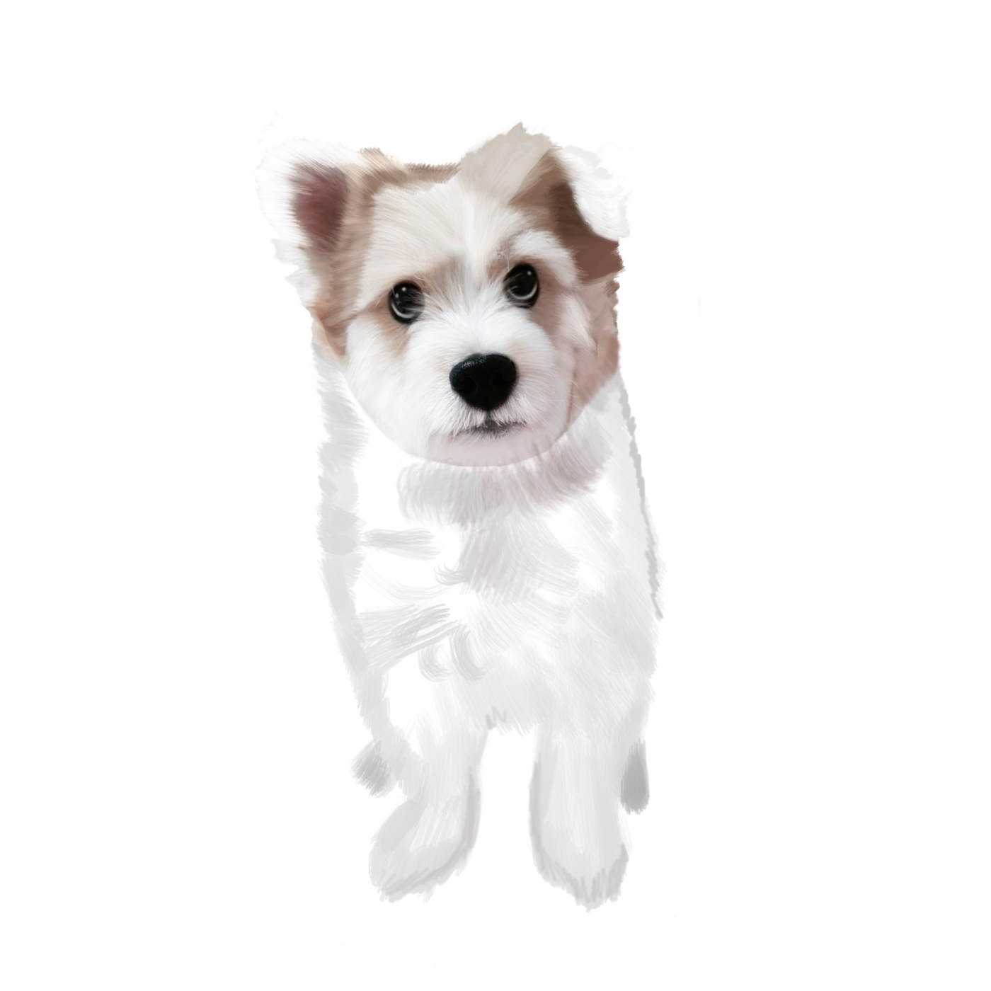 67b80613a947cf83516dc1c0504350a2_1675129274_2428.png
