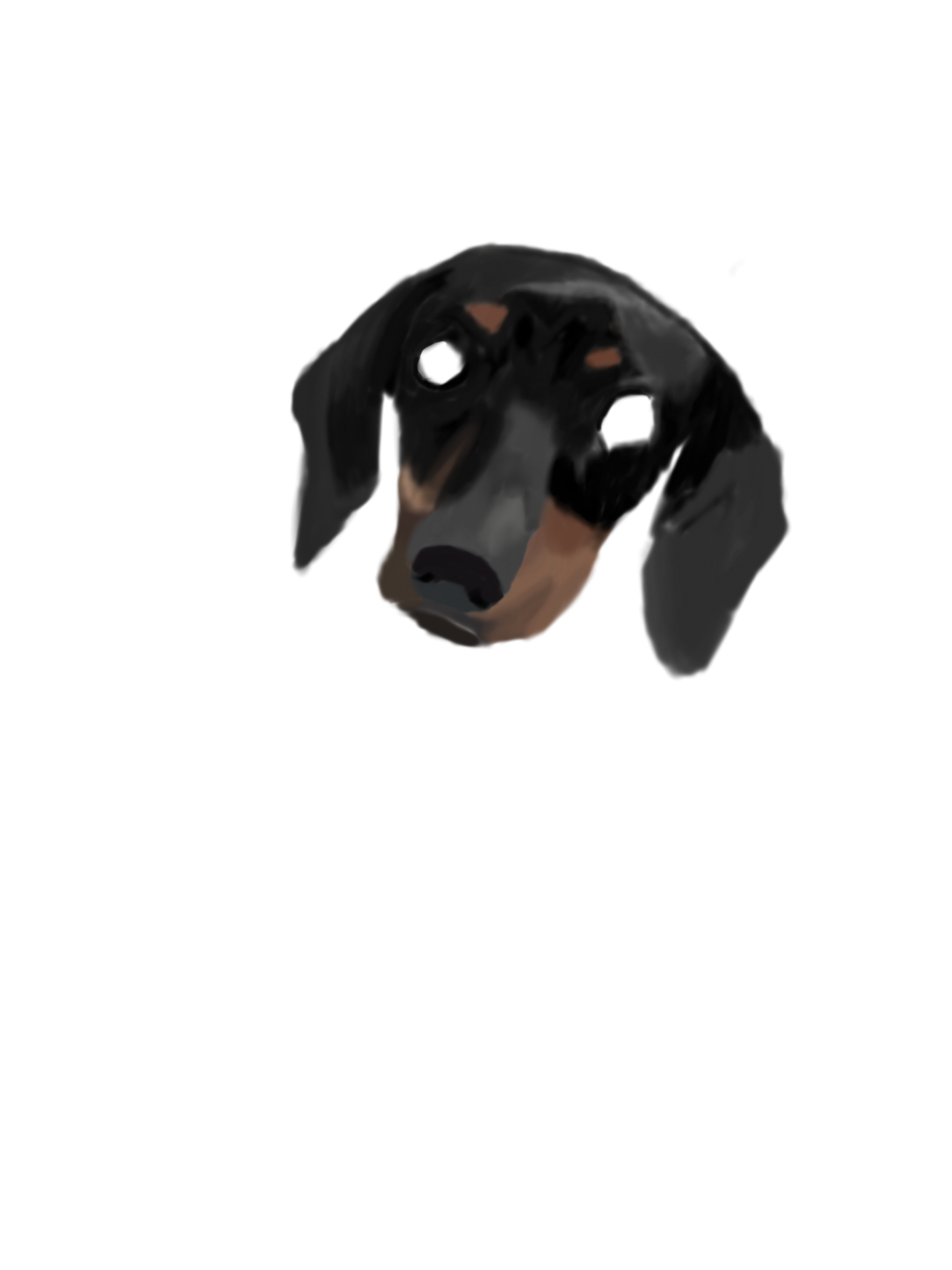 d3a9fa6561e68332d7f82b50631c530d_1677118406_6845.png