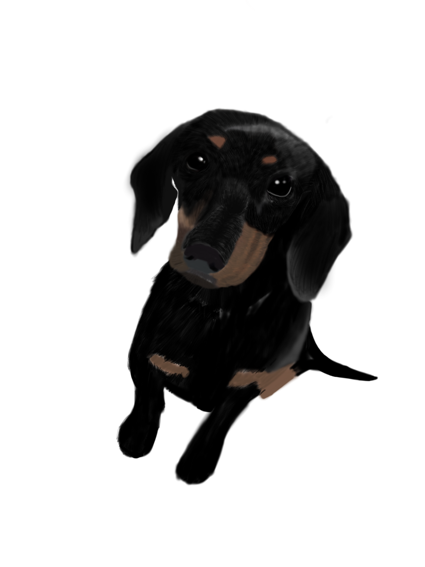 d3a9fa6561e68332d7f82b50631c530d_1677118438_3963.png
