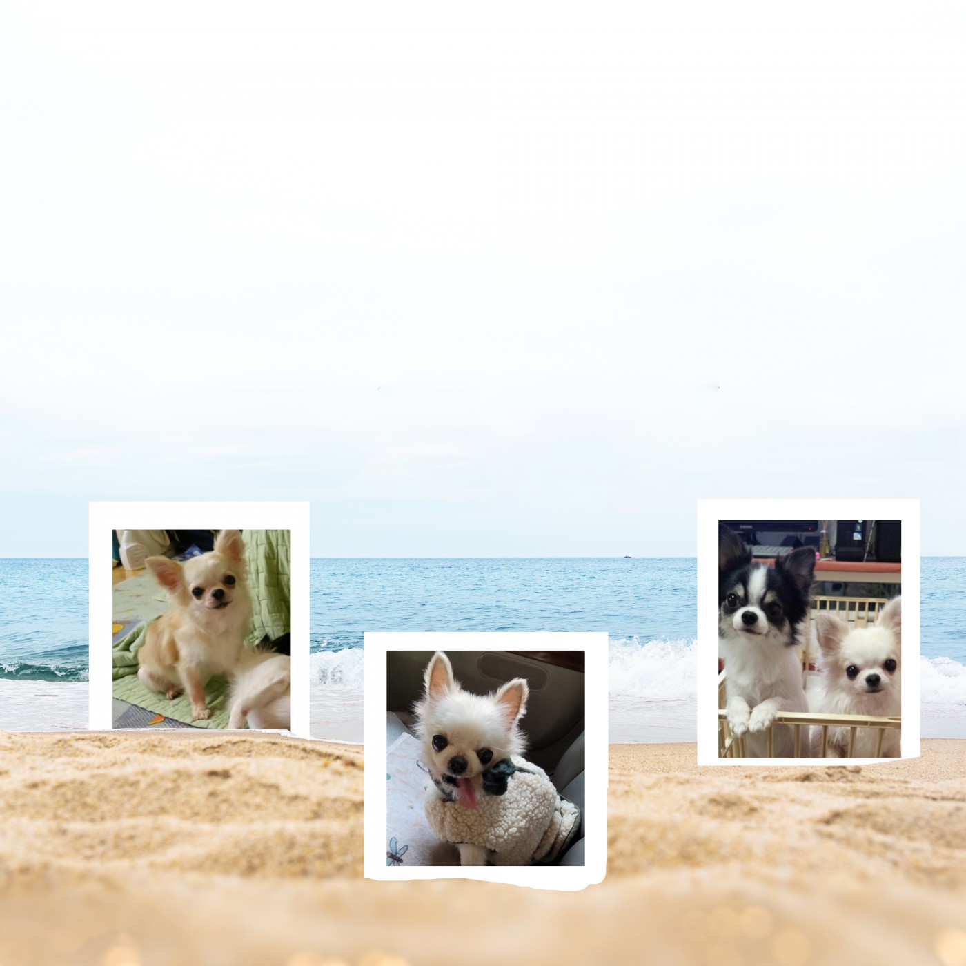 56a20b5e8334cbabfde8b865dfdc222a_1687492420_315.jpg