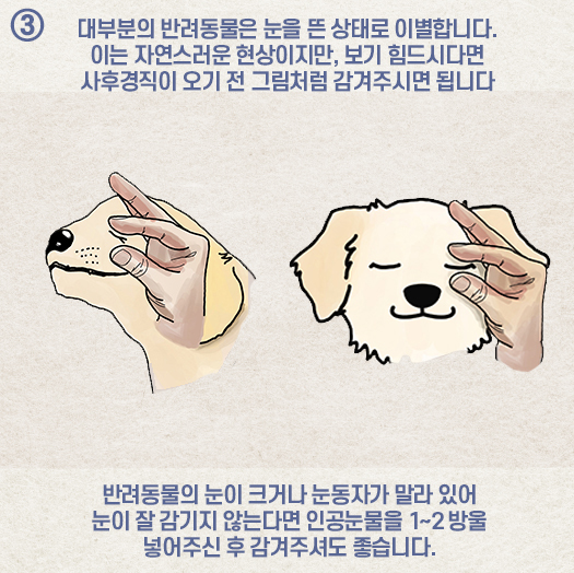 40a4a6c52ea449a3109b7340898a1405_1695789393_6131.jpg 40a4a6c52ea449a3109b7340898a1405_1695789393_6131.jpg