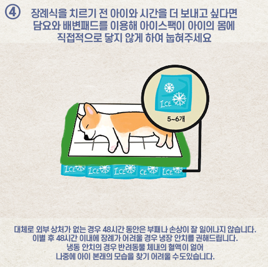 40a4a6c52ea449a3109b7340898a1405_1695789411_0642.jpg 40a4a6c52ea449a3109b7340898a1405_1695789411_0642.jpg